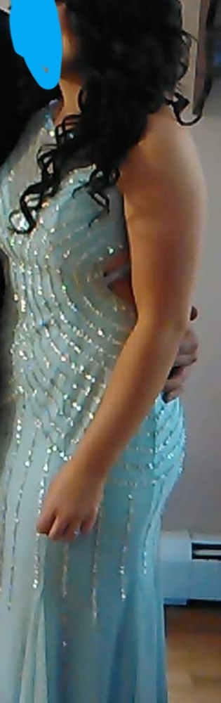 Prom Dress - Picture 4 of 4